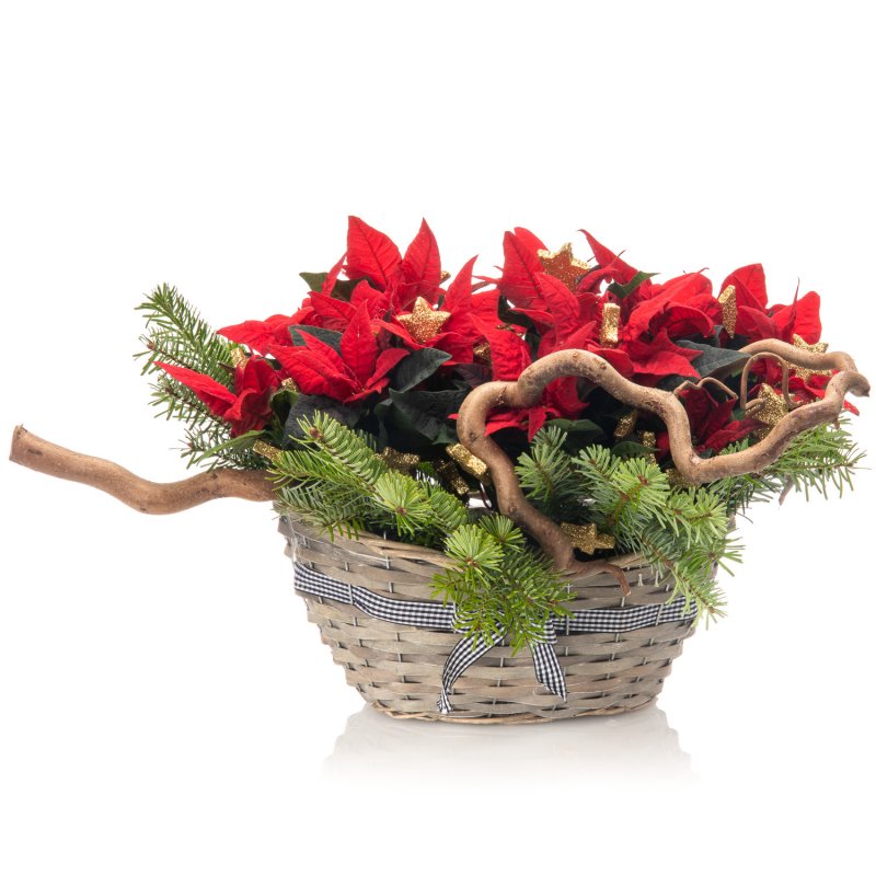 Christmas Poinsettia Basket